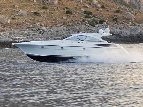 Della pasqua e carnevali dc 13 elite open