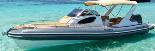 Salpa salpa 30 soleil