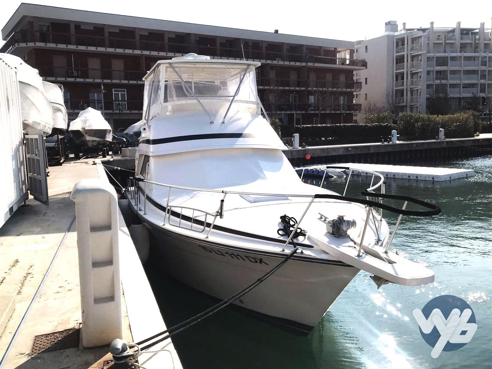 bertram yacht 43
