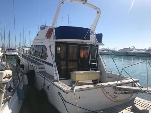 Hi-star 48 fishermann