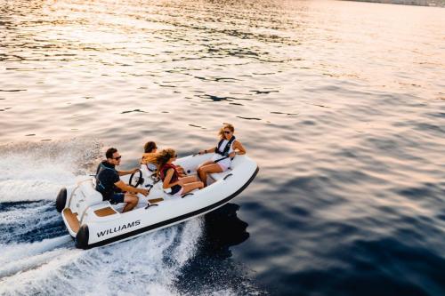 Williams turbojet 325