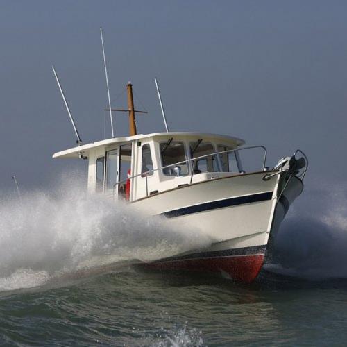 Rhea marine 800 timonier