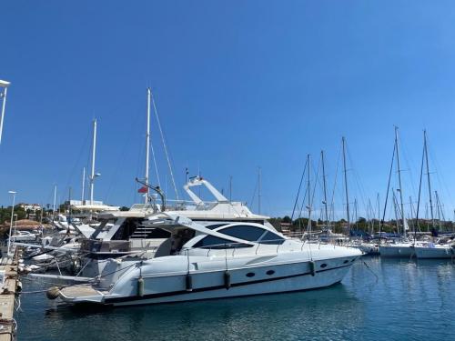 Innovazione e progetti alena 50