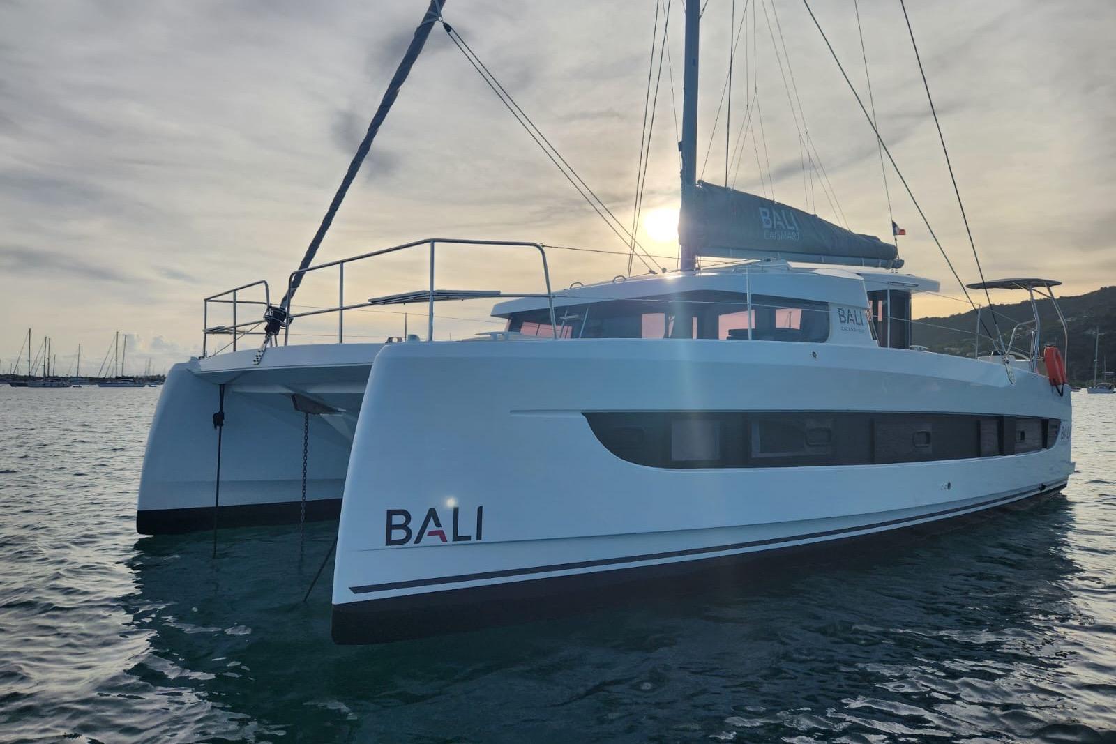 bali Catsmart