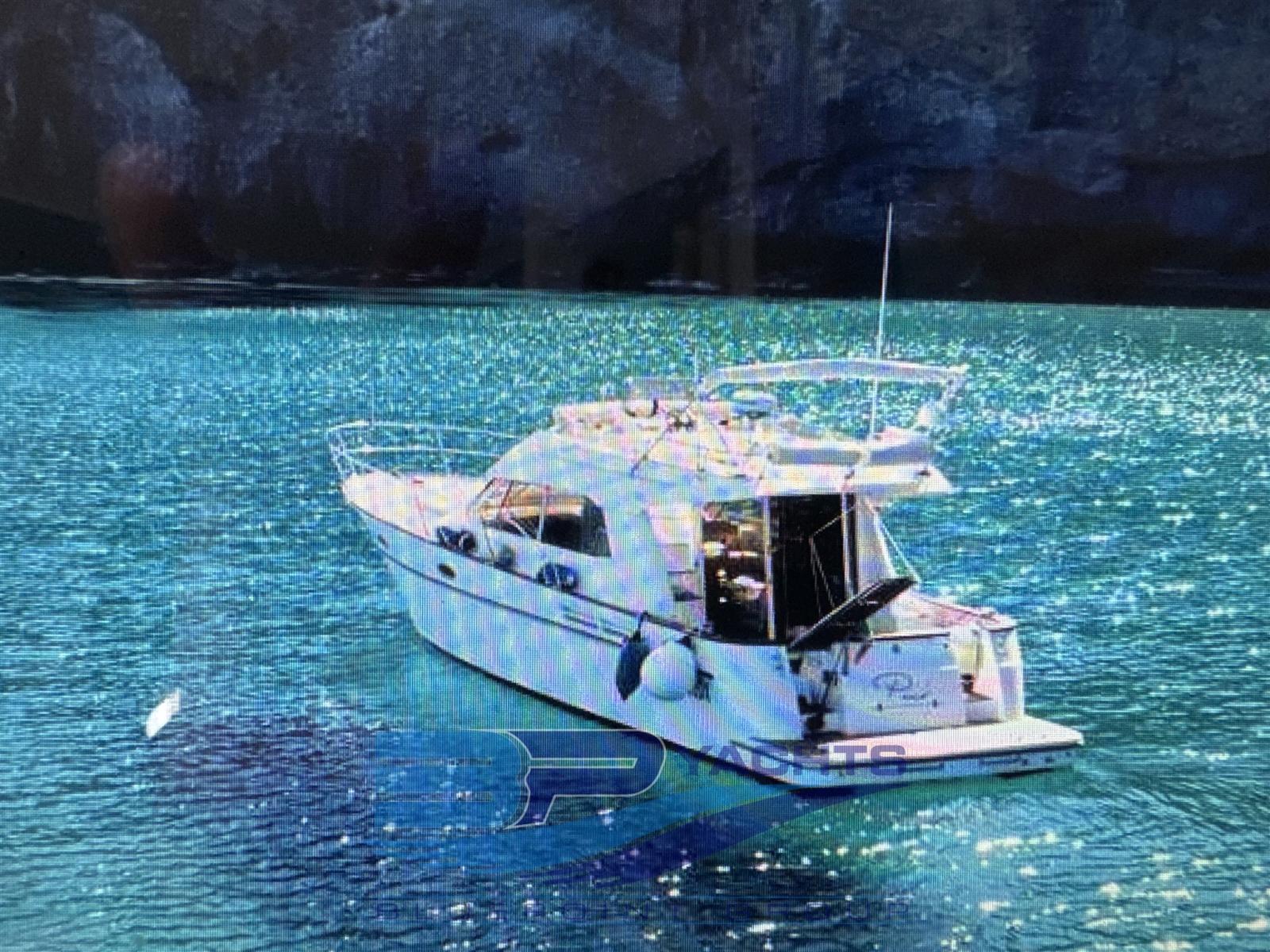acm Excellence 38