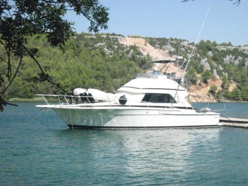Bertram 37 convertible