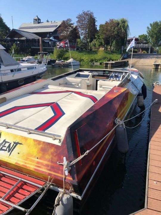 cougar 38 sport