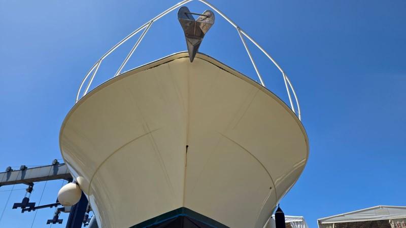 viking marin Viking 50