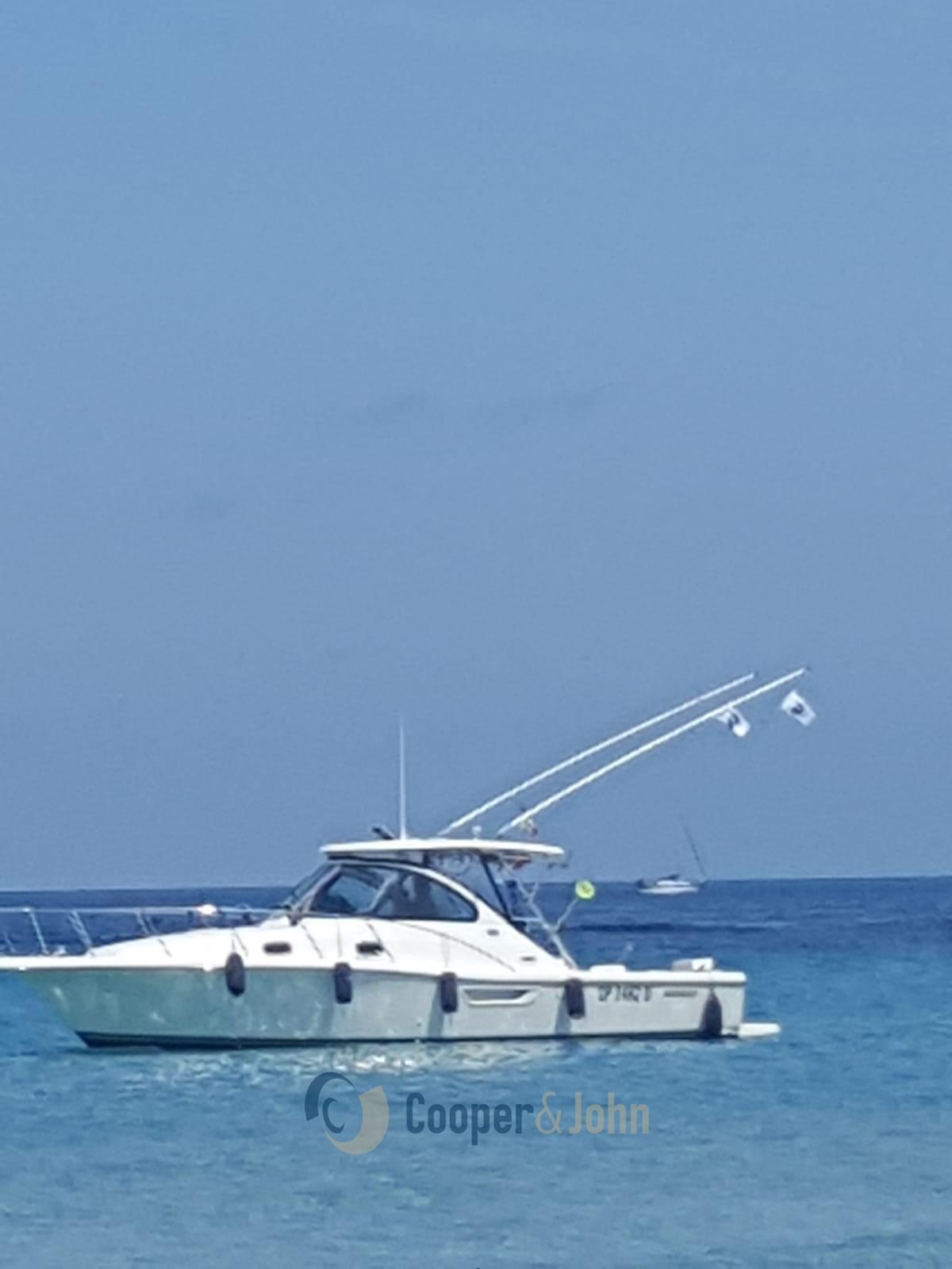 pursuit 3100 hoffshore