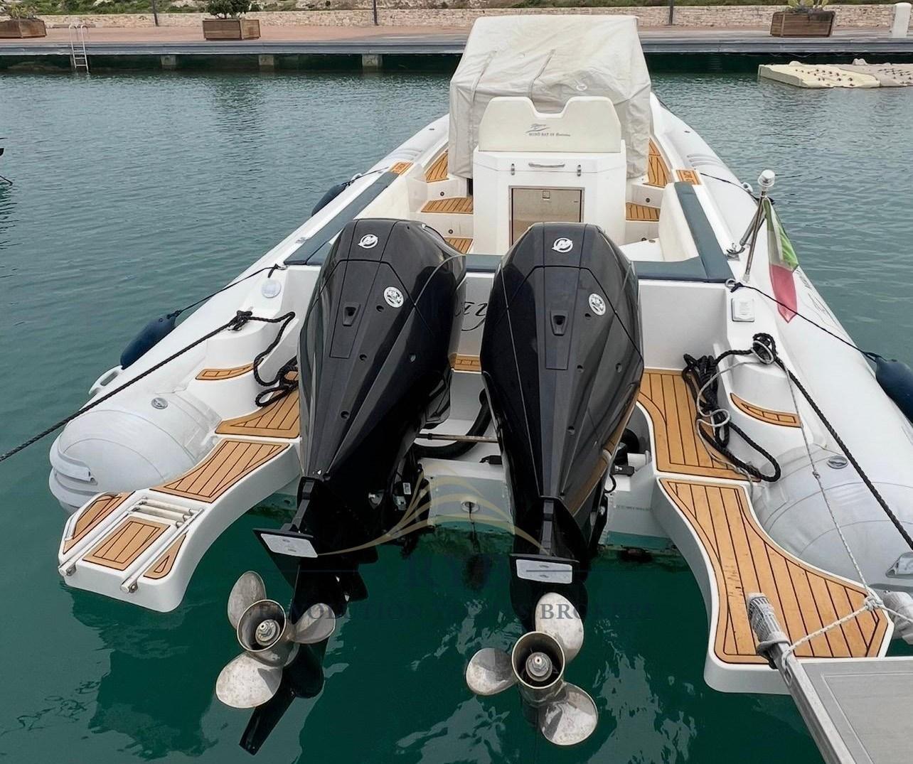 bat international 29 evolution