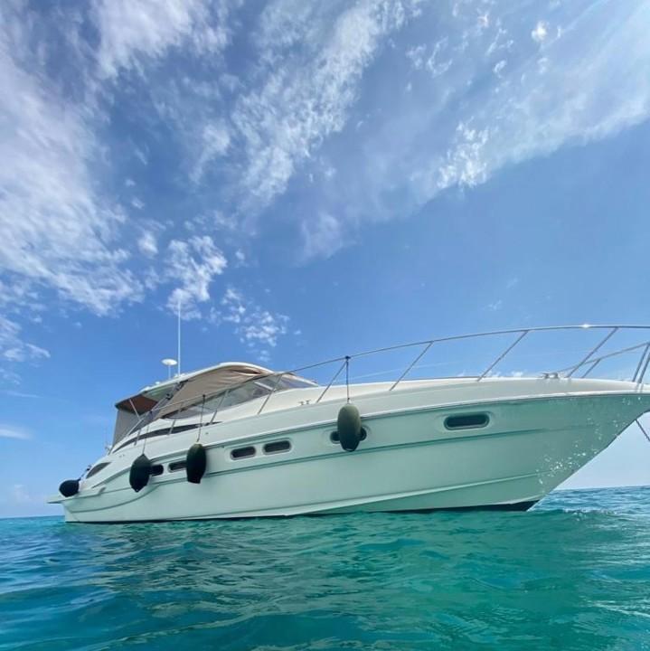 sealine S43