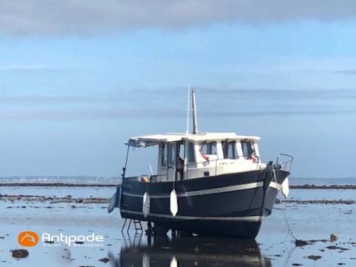 Rhea marine rhea 850