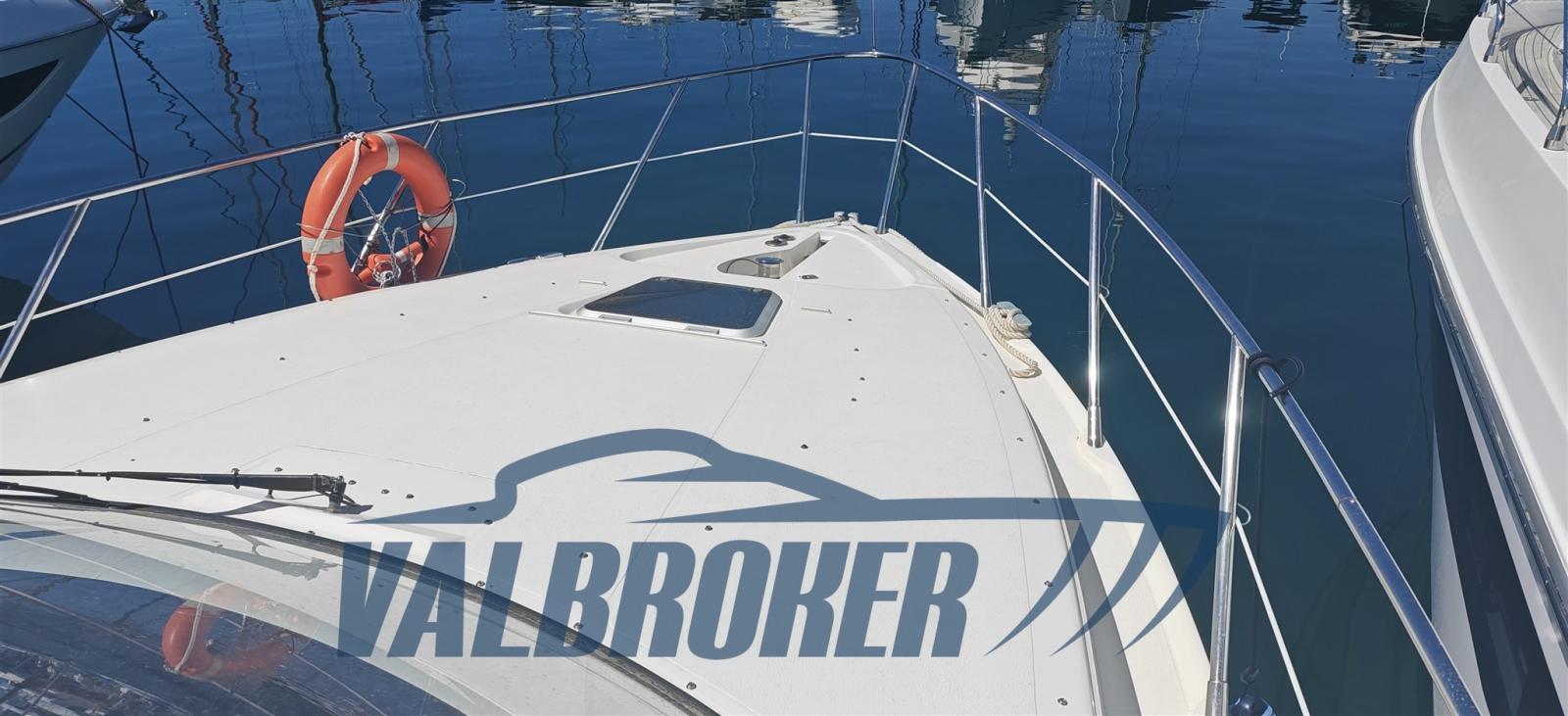 sealine C 39