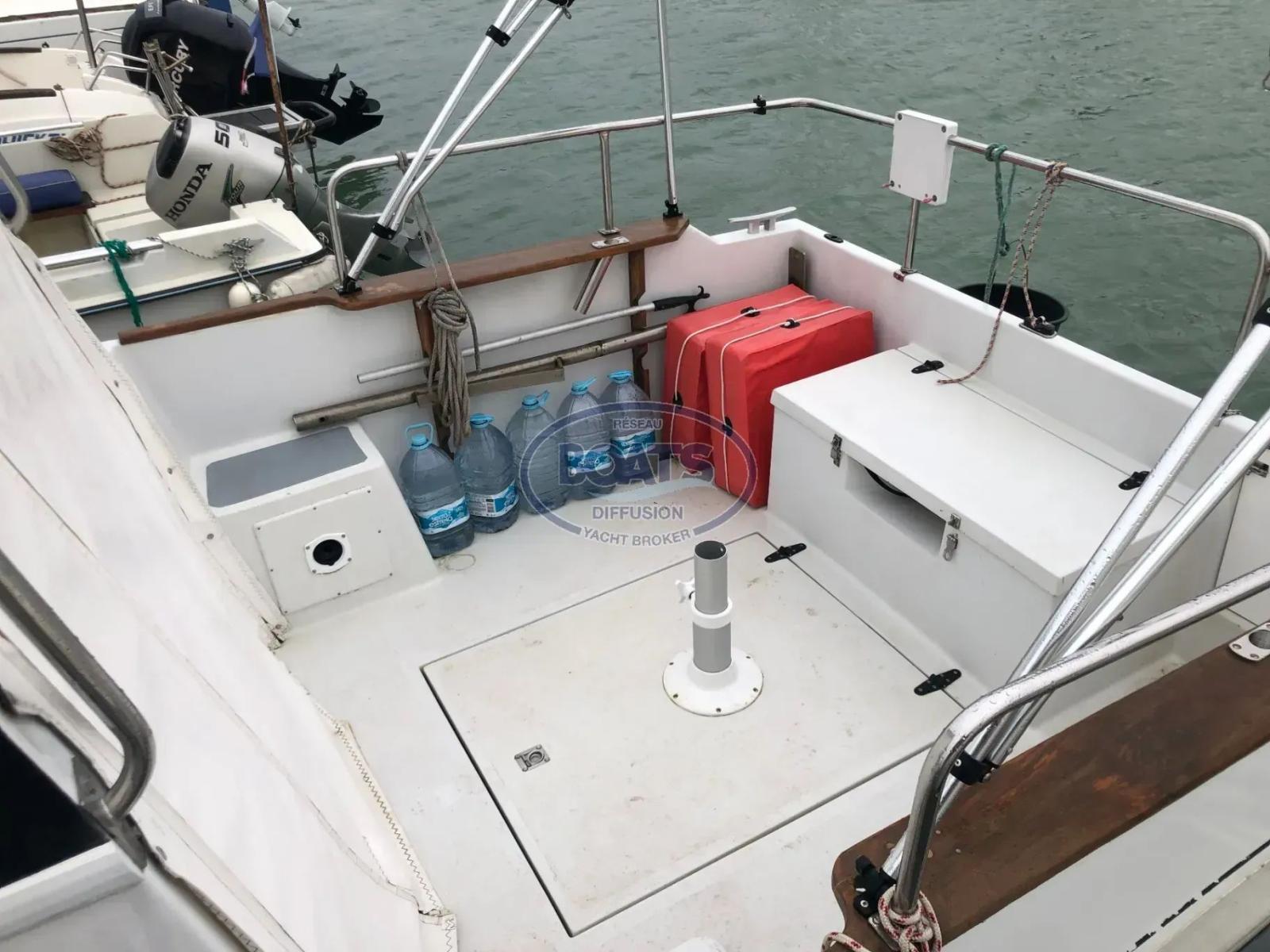 eider marine Sea rover