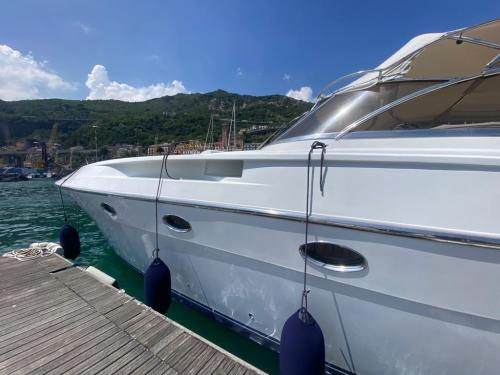 Rizzardi 50 top line