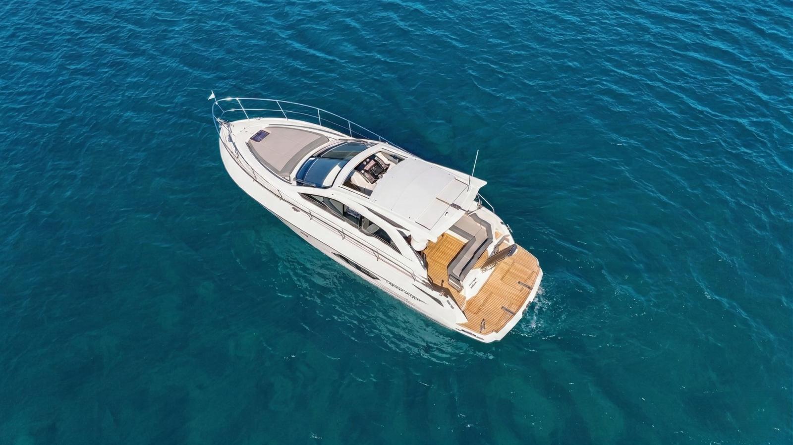 salpa 38 x ( 2019 )