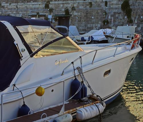 Gagliotta gagliardo 37