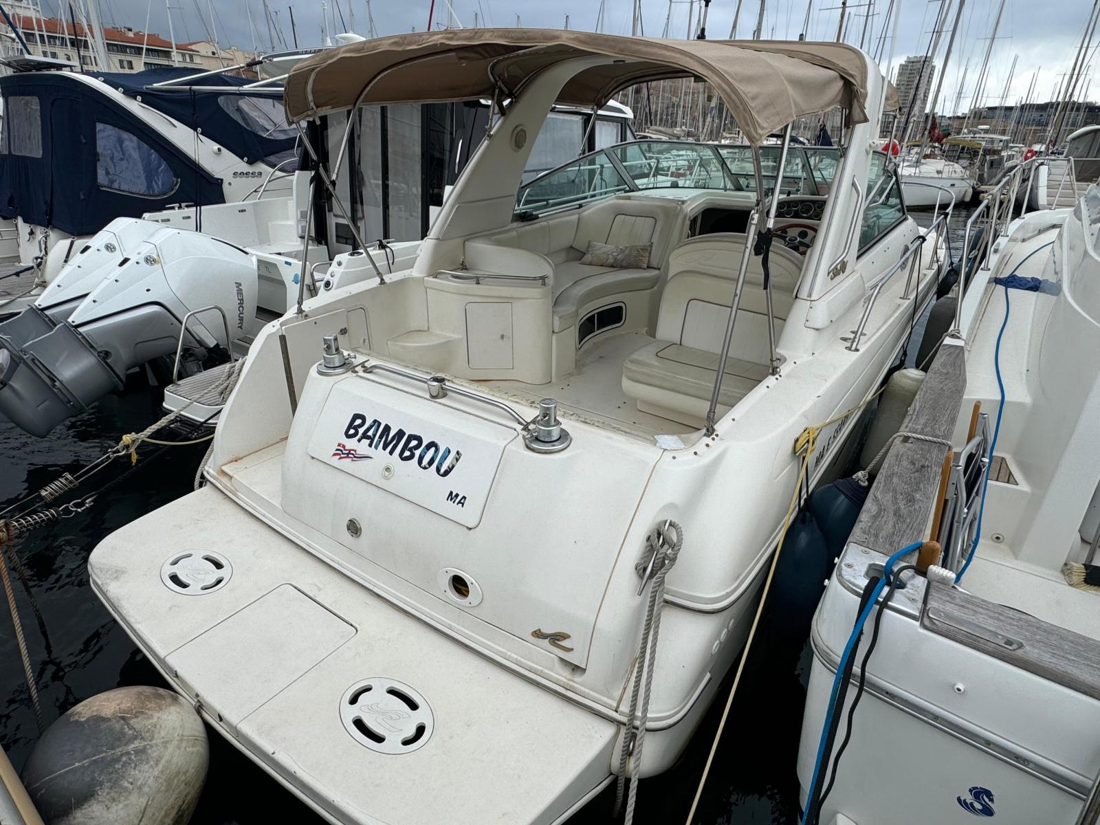 sea ray 290 sundancer