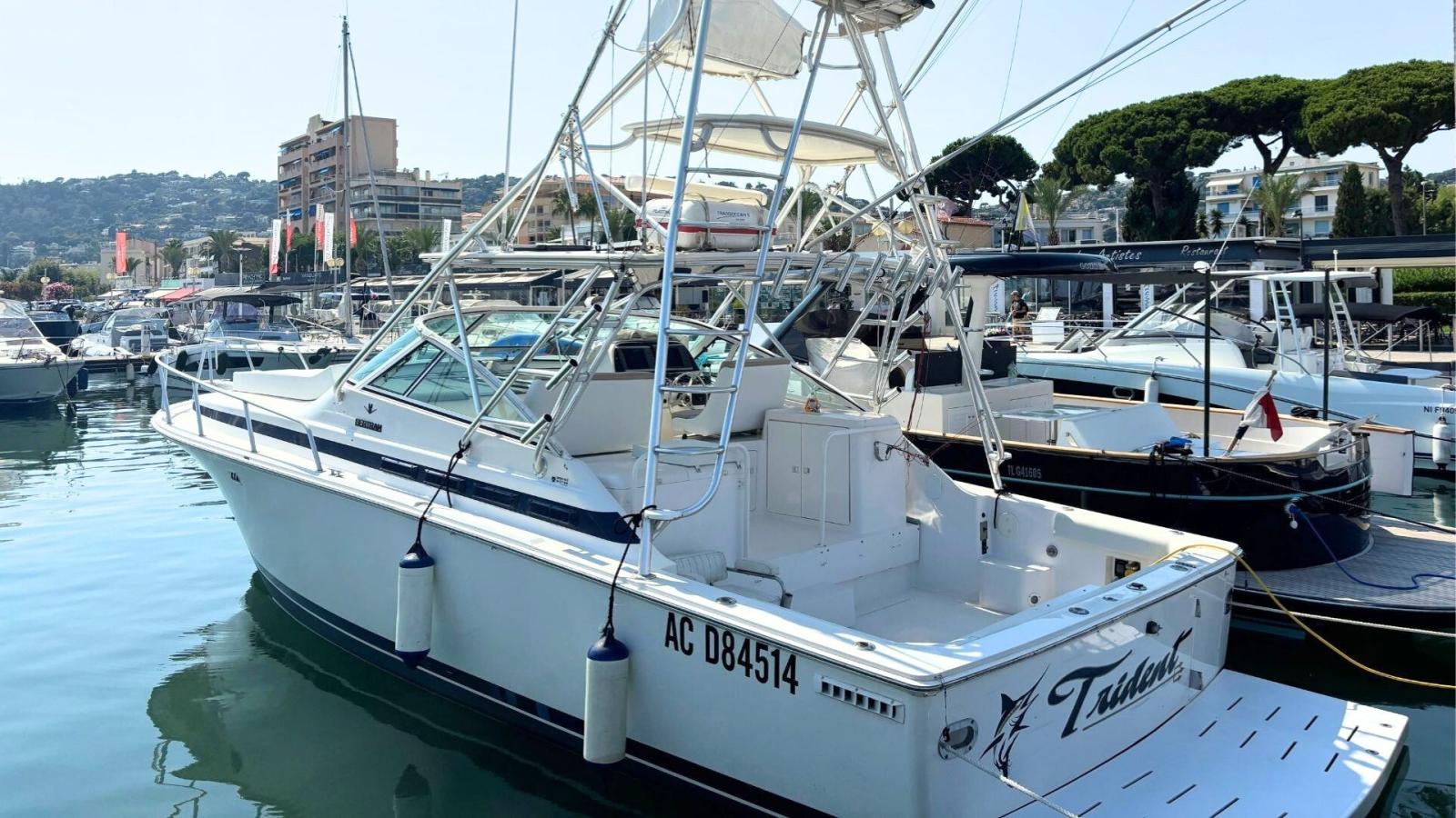 bertram 36 Moppie